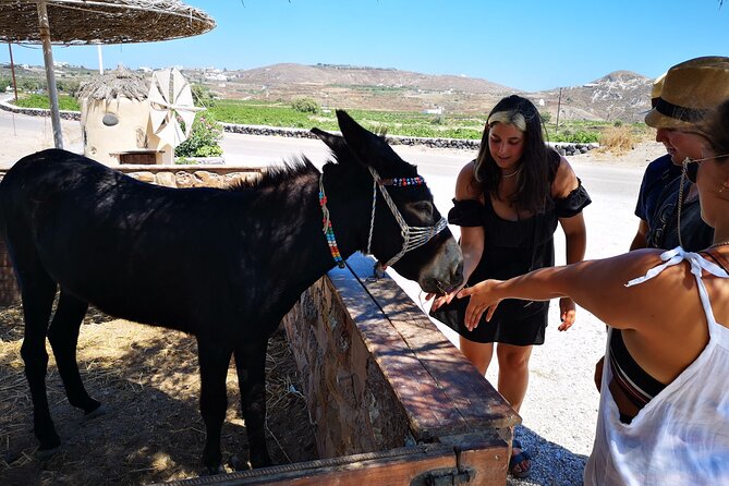 4 hrs PRIVATE island tour and photos, Oia and Blue domes - Akrotiri’s medieval walls and the dome-top photo session