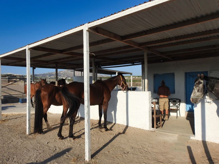 Akrotiri: Guided Horseback Riding Day Trip to a Beach - Who This Santorini Horseback Ride Fits Best