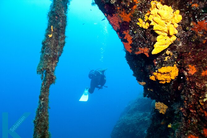 Discover Scuba Diving in the Caldera of the Volcano in Santorini - Quick takeaways before you book