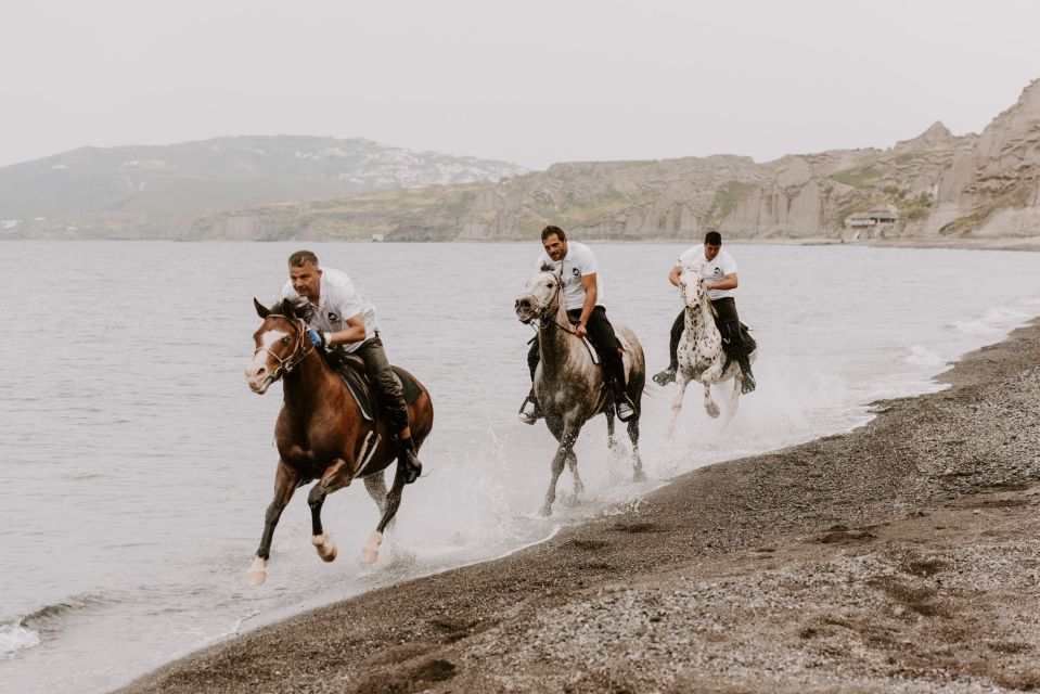 Megalochori: Horseback Riding Tour for Experienced Riders - Who this tour fits perfectly (and who should choose something gentler)