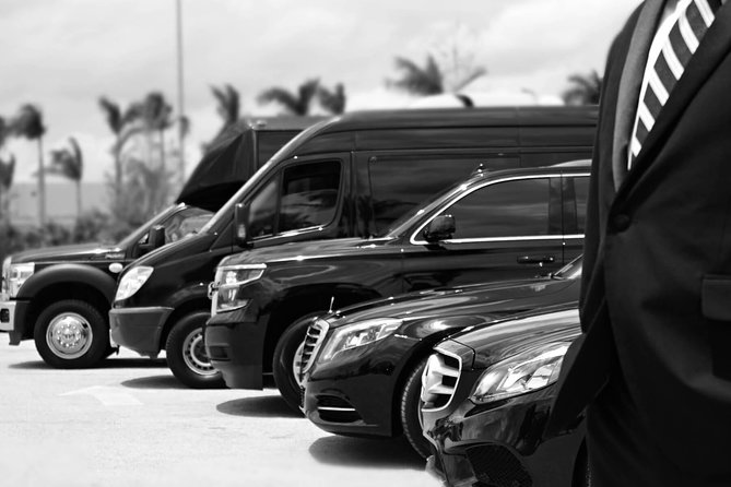 Private Arrival Transfer From Santorini Port To All Destinations - Timing and Delays: Arrival Monitoring + 24/7 Pickup