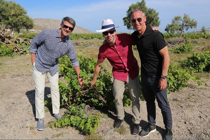 Private Santorini Sunset Wine Tour with Tastings and Tapas - The Wine Tutorial: Small Lesson, Big Effect on How You Taste