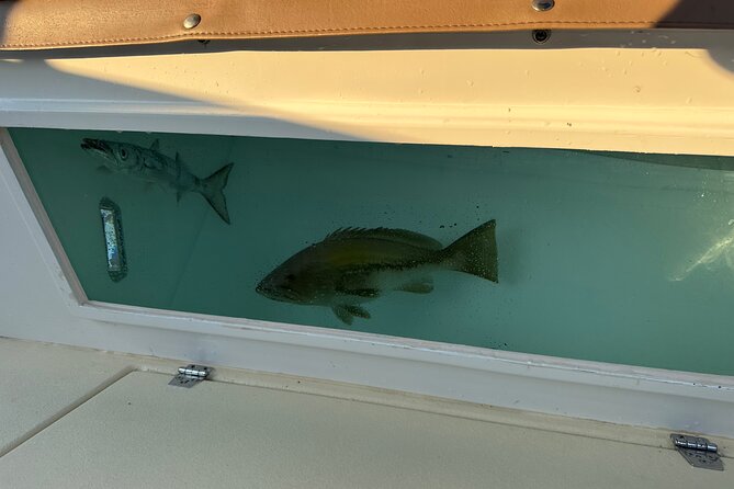 Santorini Fishing Private Cruise boat tour - BBQ, Snorkeling - Why This Feels Like a Different Santorini Day