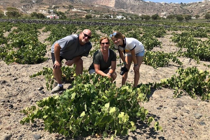 Santorini Highlights: 5-Hour Private Tour with Wine-Tasting - Volcanic winery tasting: up to four glasses, plus cheese