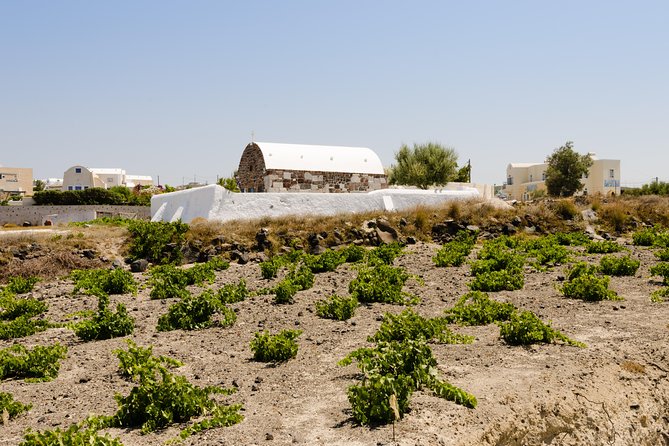 Santorini Highlights and Venetian Castles Small-Group Day Tour - Artemis Karamolegos Winery: tasting in an old canava