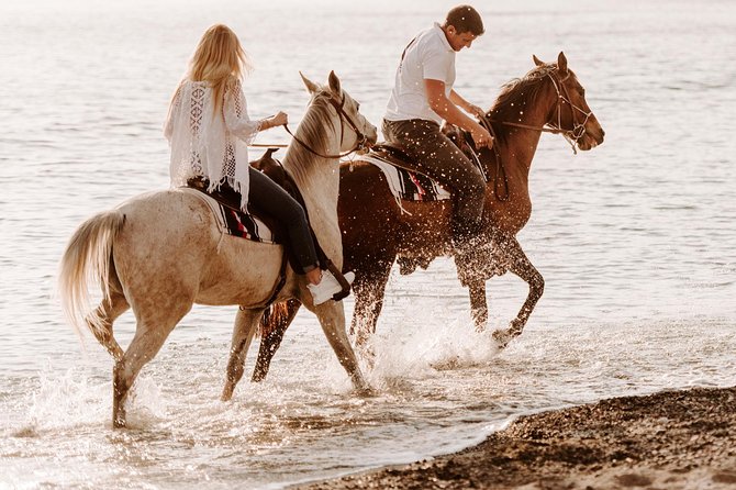 Santorini: Horse Riding to the Black Sandy Beach (Eros beach) - Entering the Route: What Happens on the Trail Before the Beach