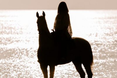 Santorini: Horse Riding to the Black Sandy Beach (Eros beach) - Eros Beach: The Black Shore Moment You Came For