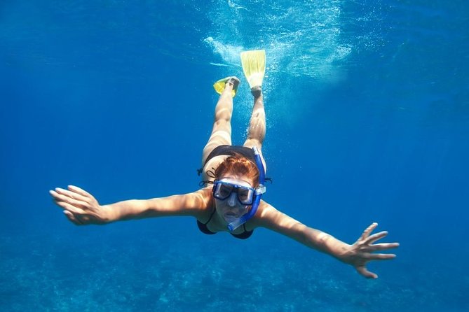 Santorini Luxury Catamaran Day Cruise with BBQ,drinks,transfer - Drinks, music, and the small-group comfort that people love