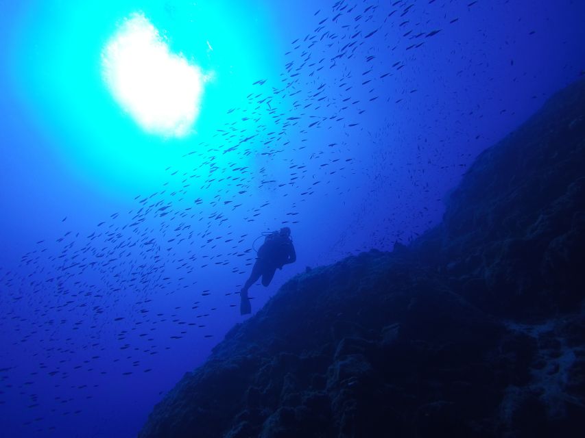 Santorini: Scuba Diving Experience for Beginners - Who Should Skip This Santorini Scuba Session