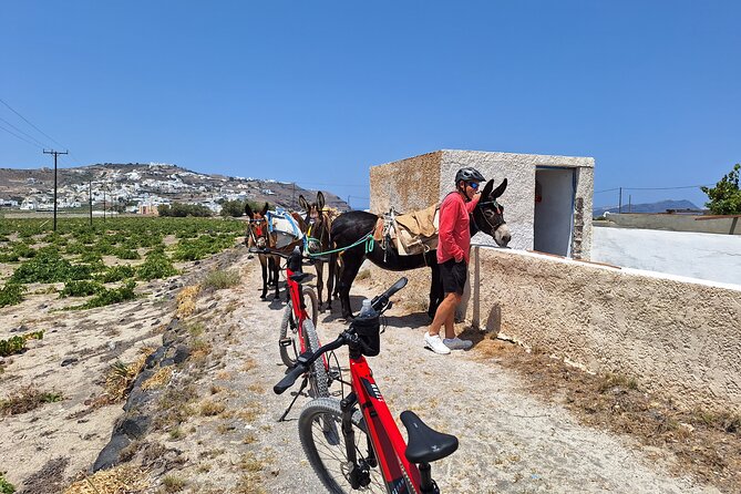 Santorini Small Group Guided E-bike Tour & Local Tomato Museum - Emporio’s Castelli: medieval stone and a sense of older Santorini