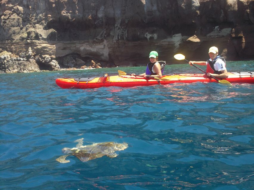 Santorini: South Sea Kayaking Tour with Sea Caves and Picnic - Key things I’d bet on before you book