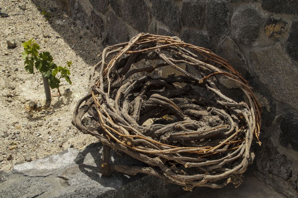 Santorini: Three Wineries and One Brewery Tour with Tastings - The $200 price: what you’re really paying for