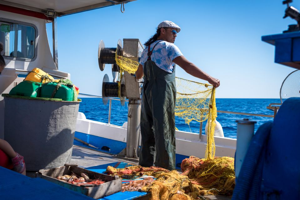 Santorini: Traditional Fishing Trip and Fresh Fish Lunch - The Fresh Fish Lunch That’s Actually Fresh (Cooked Aboard)