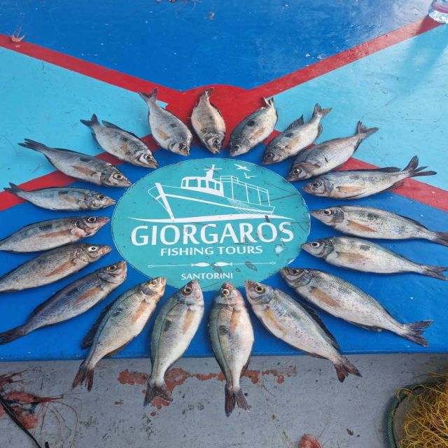 Santorini: Traditional Fishing Trip and Fresh Fish Lunch - The Crew Experience: Family-Run Energy, Real Teaching, and a Good Sense of Pace