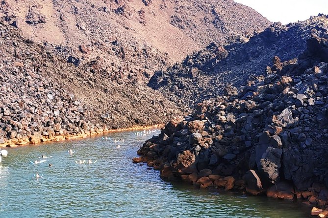 Santorini Volcanic Islands Cruise: Volcano, Hot Springs and Thirassia - Stop 4: Thirassia and Manolas village—stairs, donkey options, and limited time