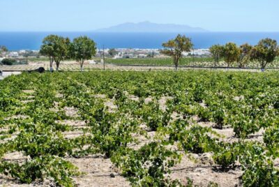 Santorini: Wine Tasting Tour & Sunset Viewing - From Thera pickup to air-conditioned comfort