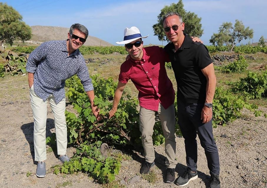 Santorini: Wine Tasting Tour with Snacks - Snacks and cheese pairings: good, but plan for repetition
