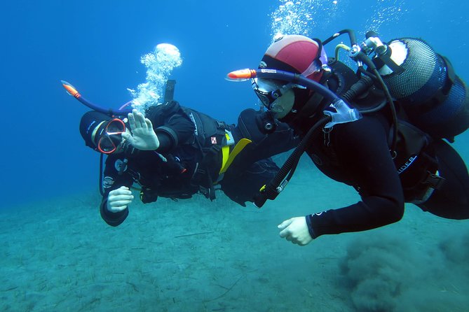 Scuba Diving Experience in Santorini - The 3-hour flow: briefing, practice, then volcanic reef time
