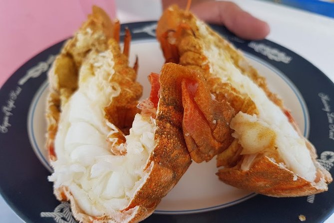 Semi - Private Fishing Tour (transportation included) - The lunch and drinks: why this meal is a big part of the value